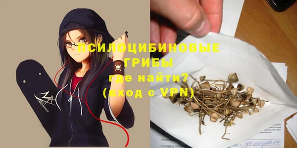 apvp Осинники