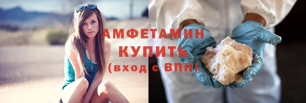 ALPHA PVP Няндома